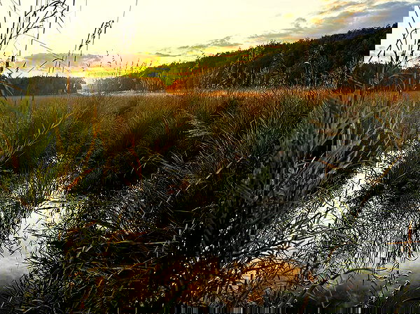 llilbby llilbby archive image