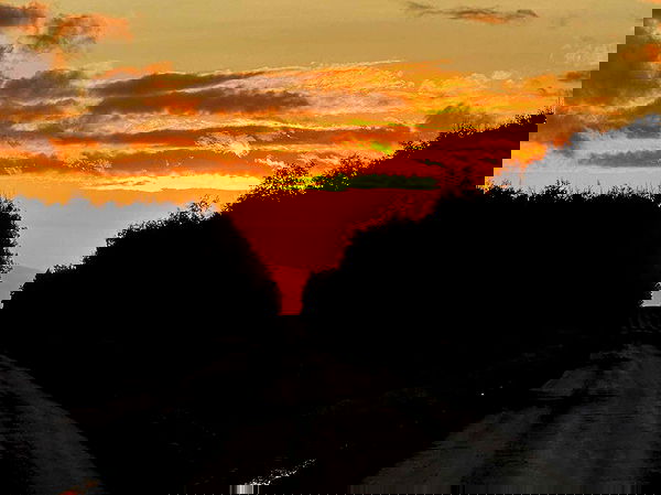 llilbby llilbby archive image