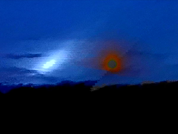 llilbby llilbby archive image