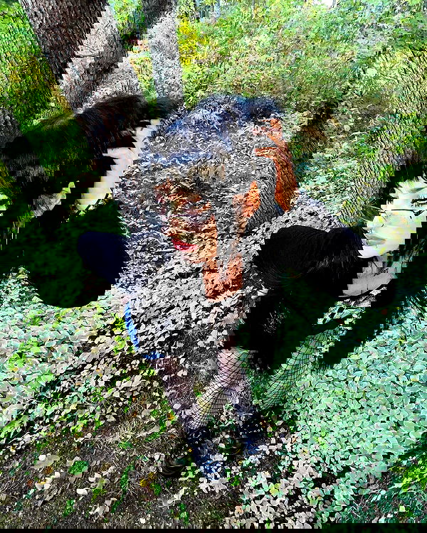 llilbby llilbby archive image