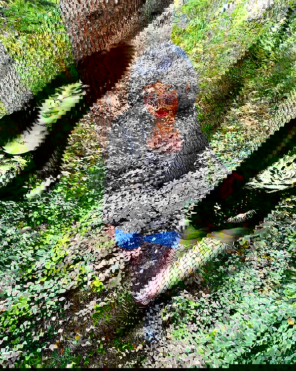 llilbby llilbby archive image