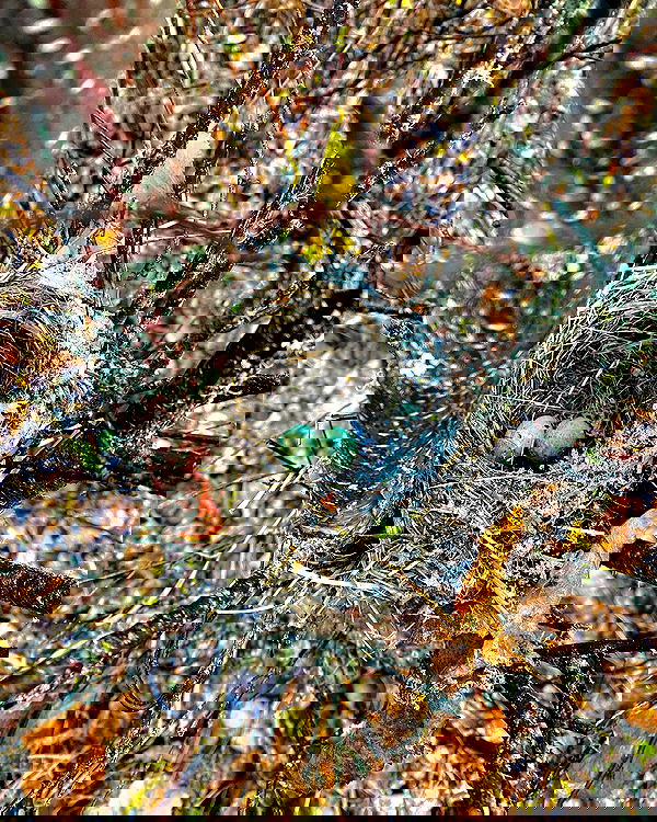 llilbby llilbby archive image