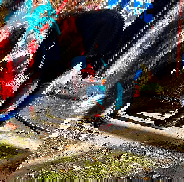 llilbby llilbby archive image