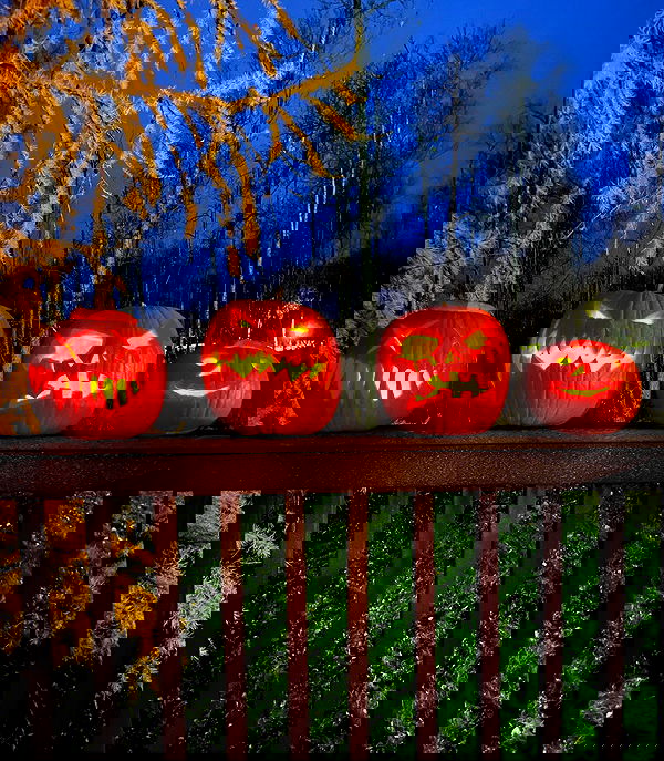 llilbby llilbby archive image