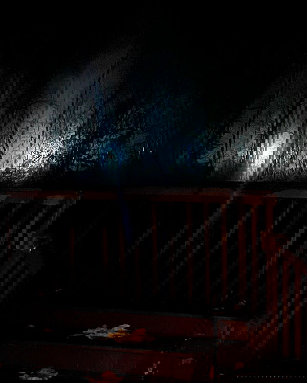 llilbby llilbby archive image