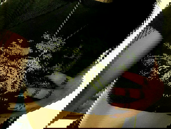 llilbby llilbby archive image