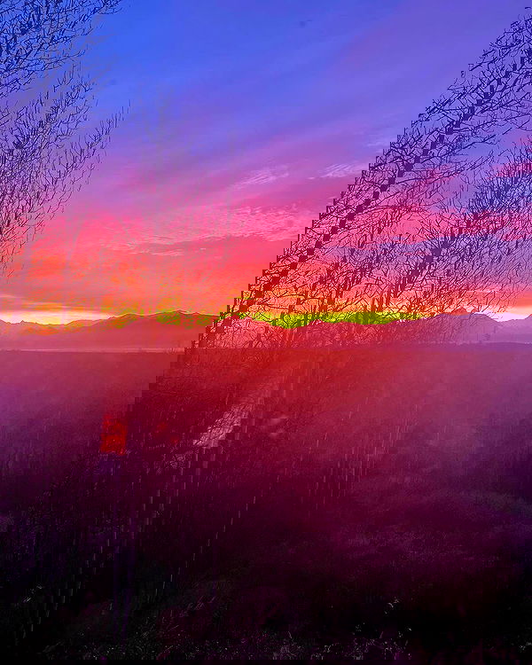 llilbby llilbby archive image