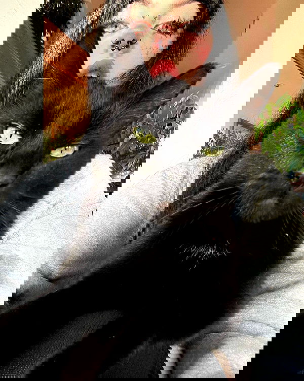 llilbby llilbby archive image