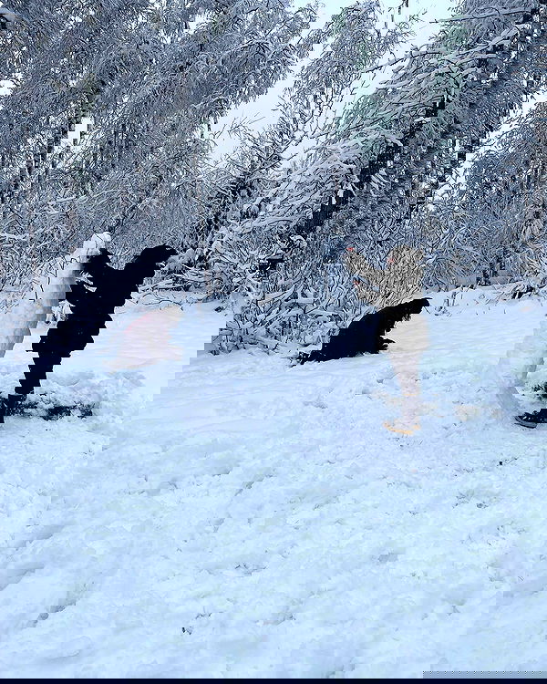 llilbby llilbby archive image