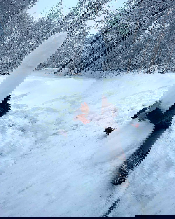 llilbby llilbby archive image