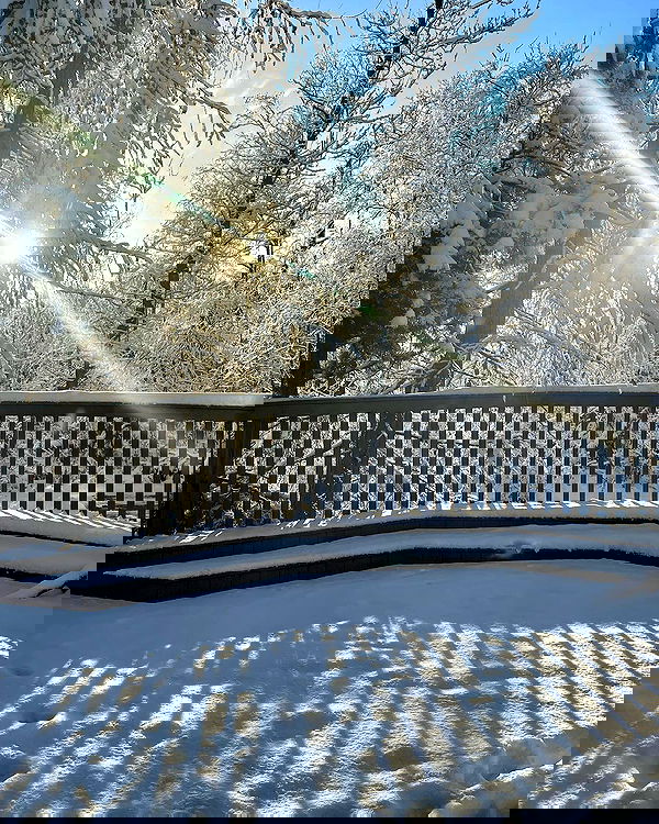 llilbby llilbby archive image