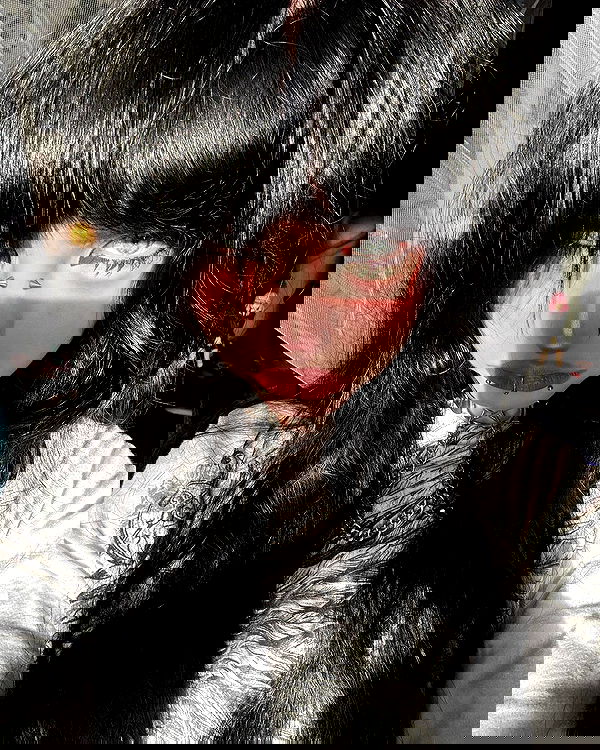 llilbby llilbby archive image