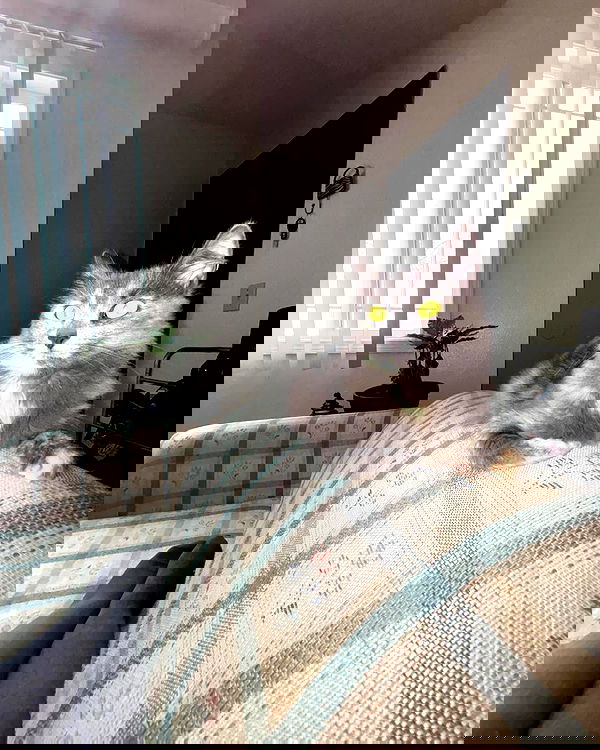 llilbby llilbby archive image