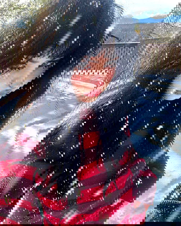 llilbby llilbby archive image