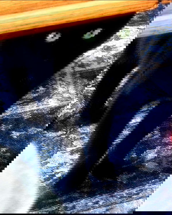 llilbby llilbby archive image