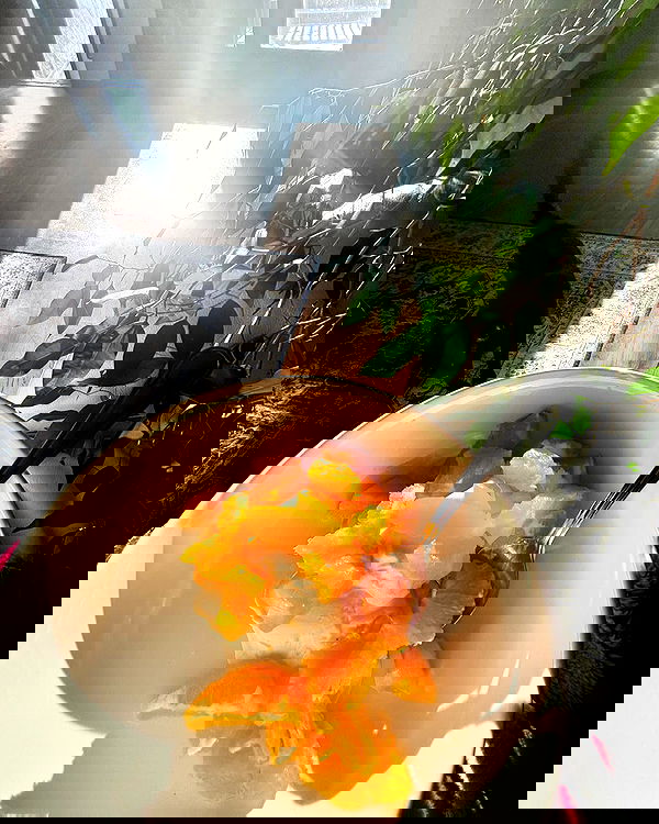 llilbby llilbby archive image