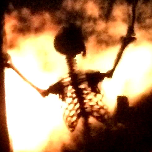 llilbby llilbby archive image