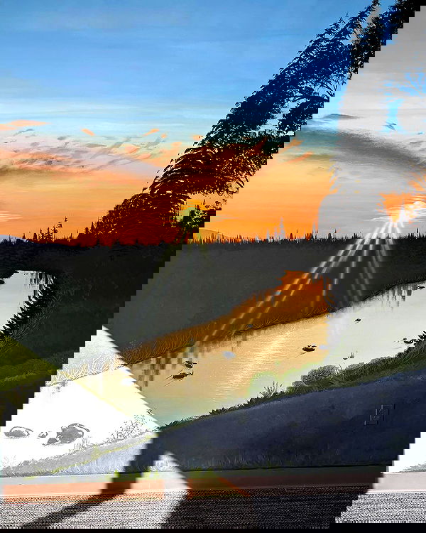 llilbby llilbby archive image