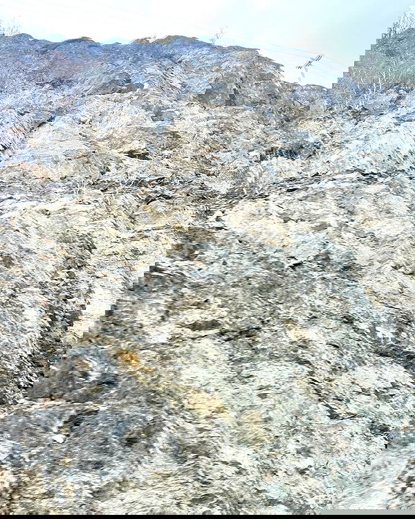 llilbby llilbby archive image