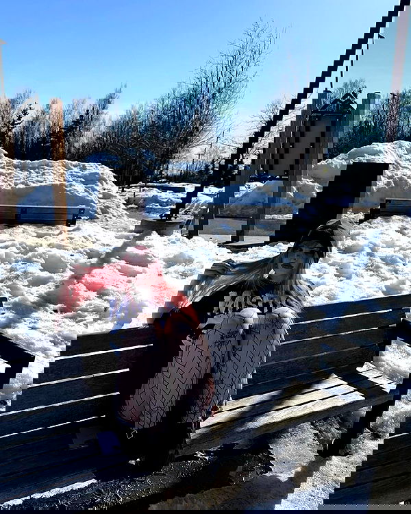 llilbby llilbby archive image