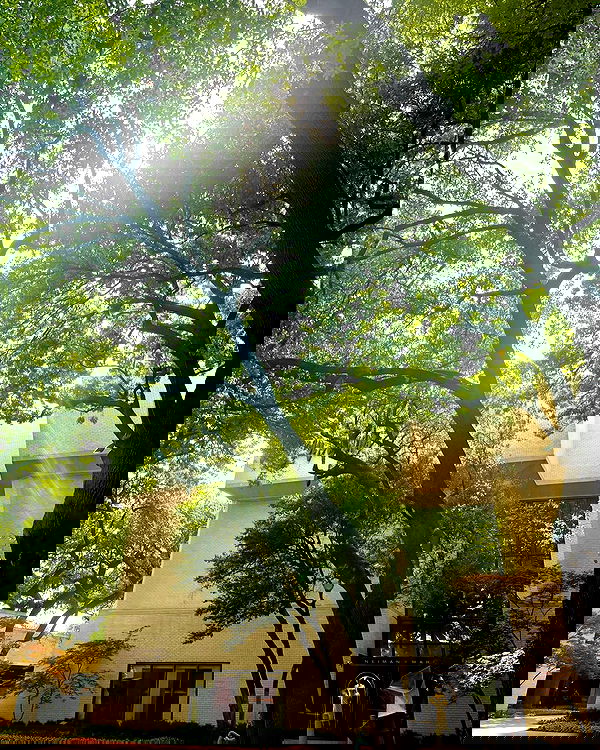 llilbby llilbby archive image