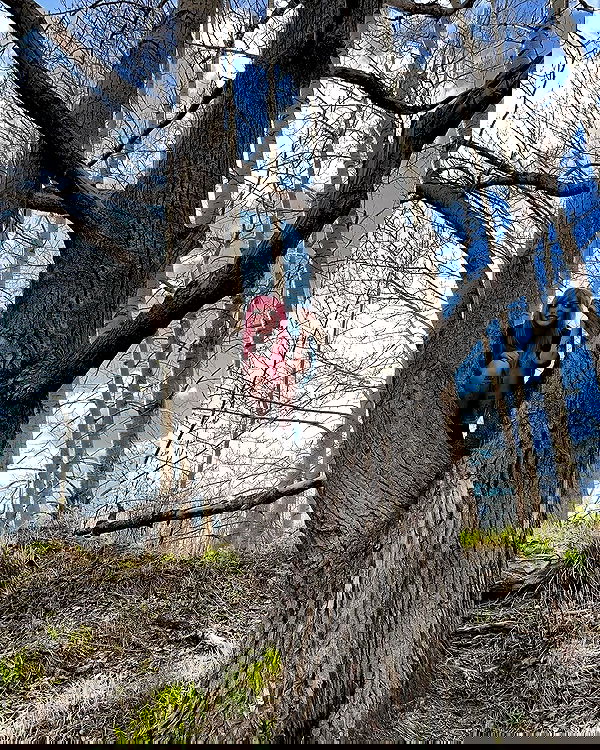 llilbby llilbby archive image