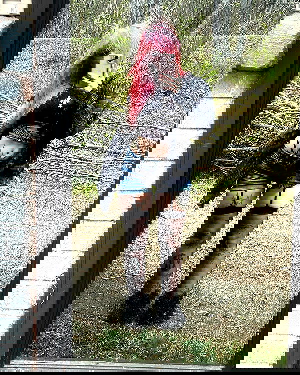 llilbby llilbby archive image