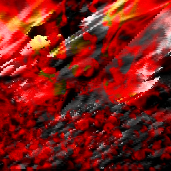 llilbby llilbby archive image