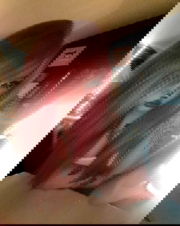 llilbby llilbby archive image