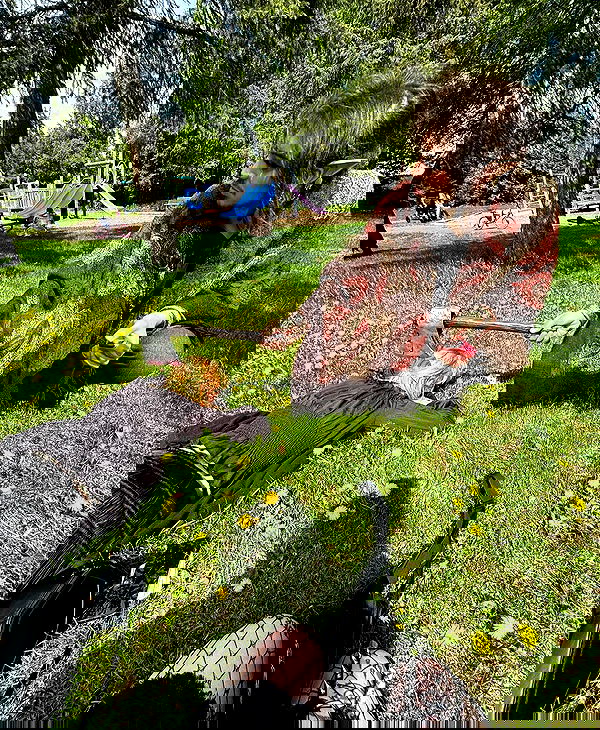 llilbby llilbby archive image