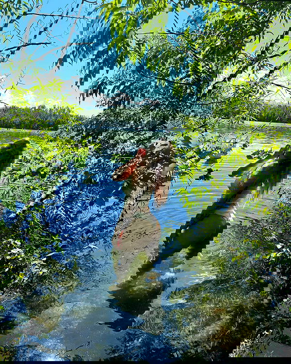 llilbby llilbby archive image