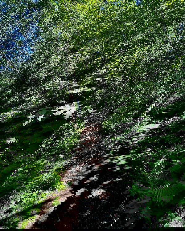 llilbby llilbby archive image