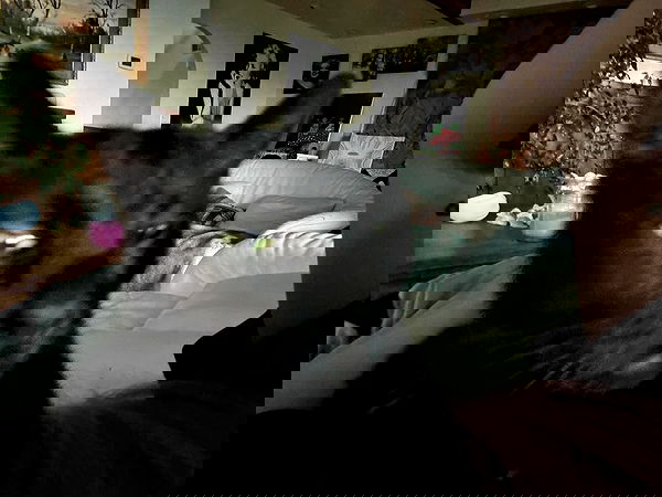 llilbby llilbby archive image