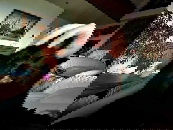 llilbby llilbby archive image