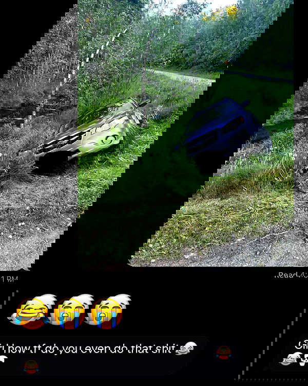 llilbby llilbby archive image