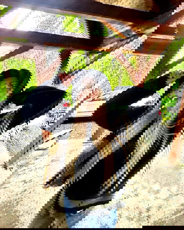 llilbby llilbby archive image