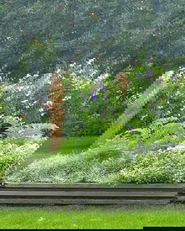 llilbby llilbby archive image