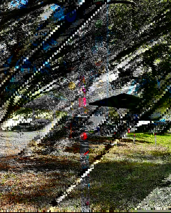 llilbby llilbby archive image