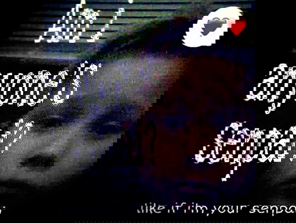 llilbby llilbby archive image