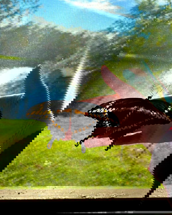 llilbby llilbby archive image