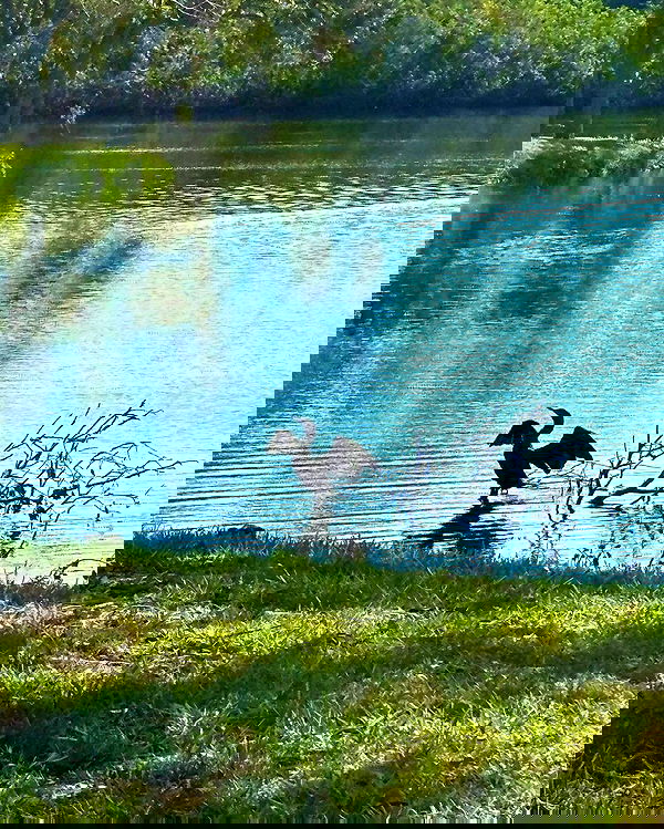 llilbby llilbby archive image