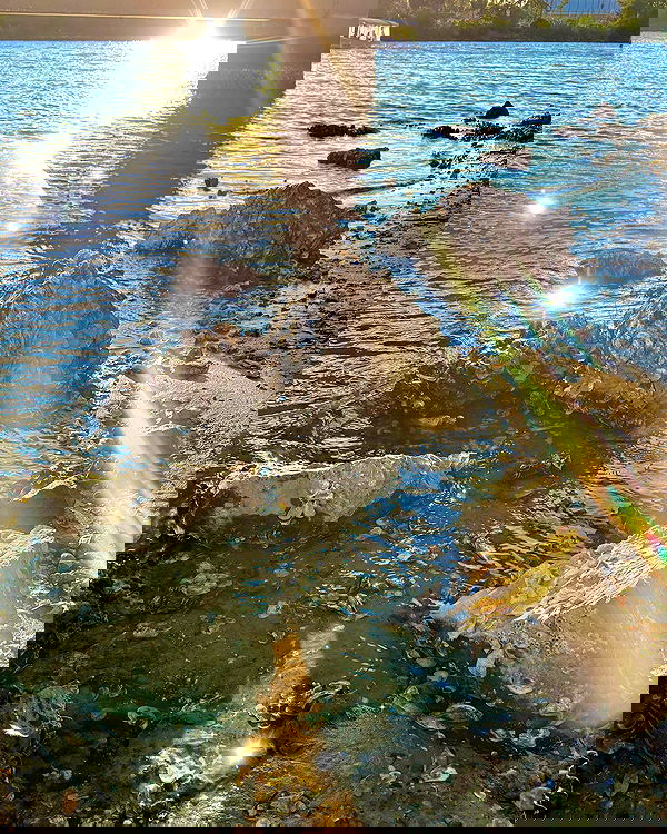 llilbby llilbby archive image