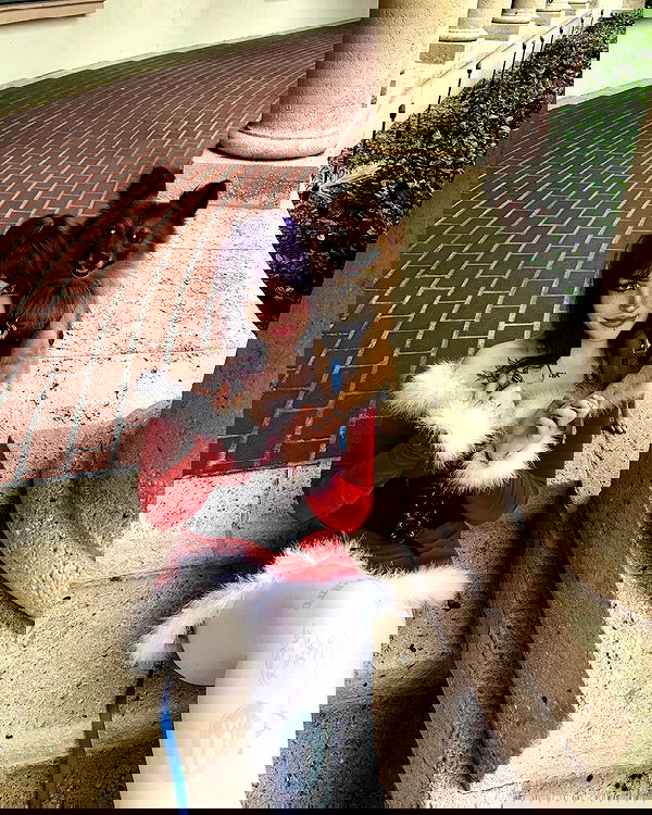 llilbby llilbby archive image