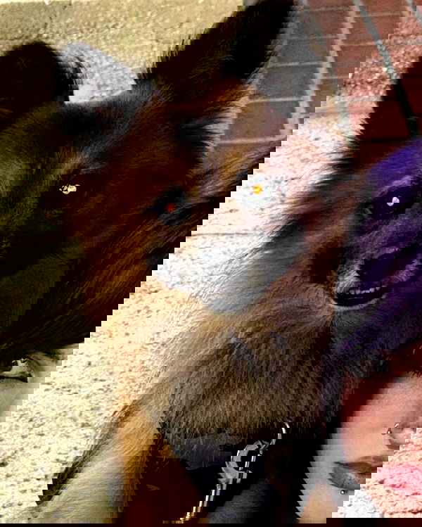 llilbby llilbby archive image