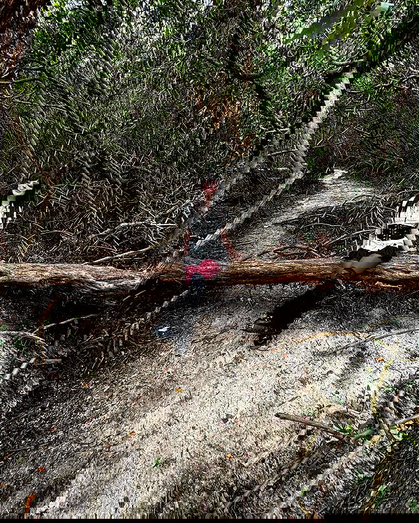 llilbby llilbby archive image