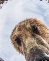 lolyomie Altpins Profile Picture