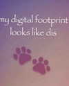 lolyomie Altpins Profile Picture