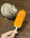 lolyomie Altpins Profile Picture