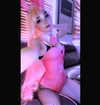 lolyomie Altpins Profile Picture
