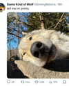 lolyomie Altpins Profile Picture
